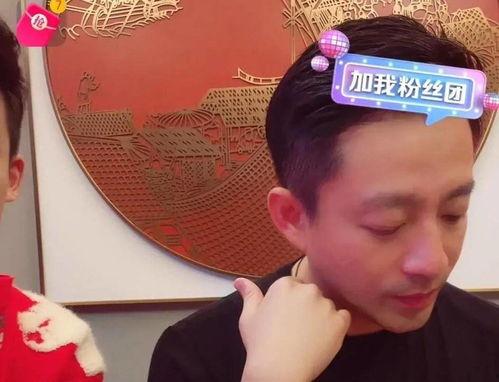 娱乐圈吃瓜爆料燕子,燕子吃瓜爆料，揭秘明星幕后故事  第2张